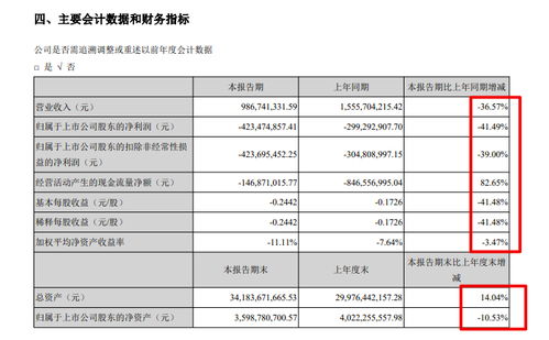 南國(guó)置業(yè)半年報(bào)分析 毛利率28.7%但仍虧損4.23億，物業(yè)管理業(yè)態(tài)承壓
